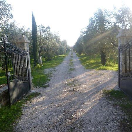 Farm Agriturismo Masseria Chiusurella Βίλα Κοράτο Εξωτερικό φωτογραφία