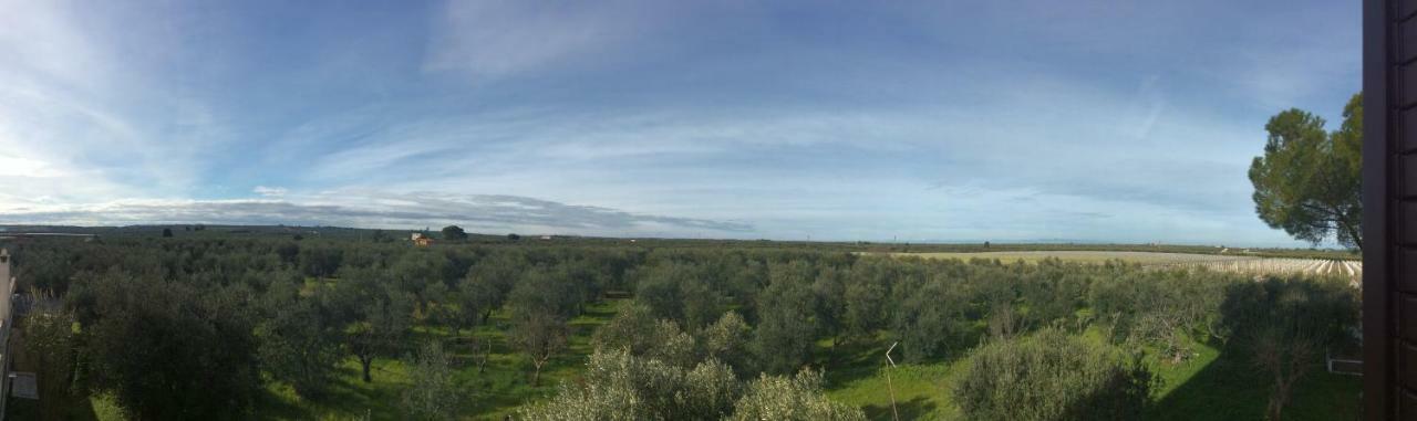 Farm Agriturismo Masseria Chiusurella Βίλα Κοράτο Εξωτερικό φωτογραφία